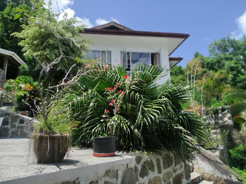 Two wonderful 3 bedroom properties on a large one and a half acre of land (T1433) in a well sought after area in the heart of Anse Marie Louise 4